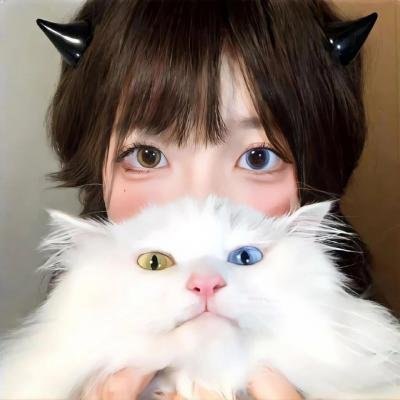 钢木兰