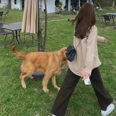 坏小子巴比
